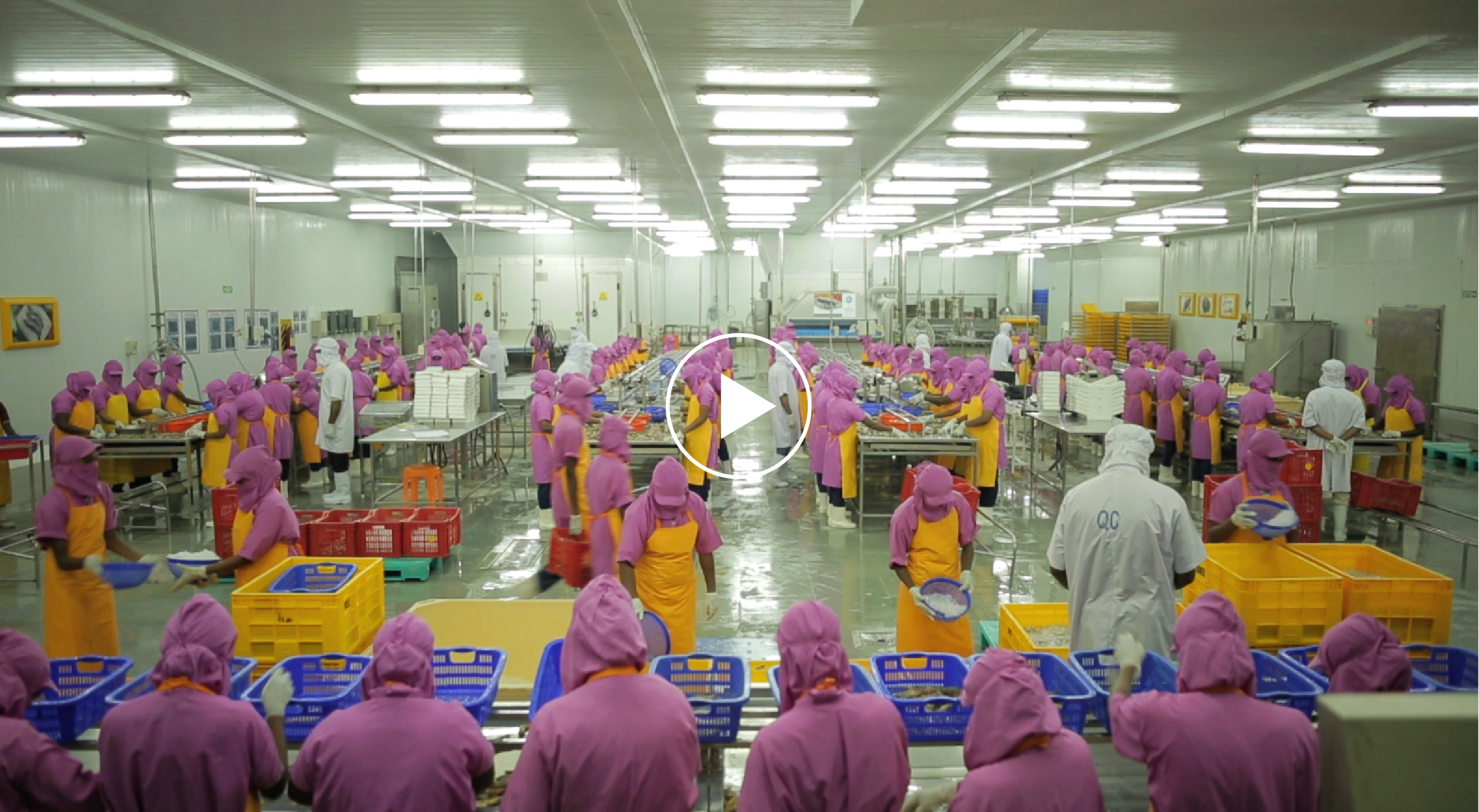 business strategy agency trivandrum breakthrough india kerala digital agancy